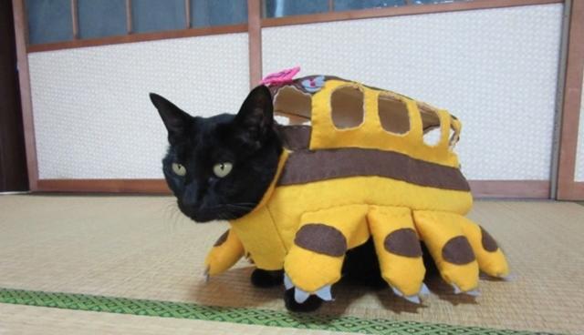 totoro cat bus costume