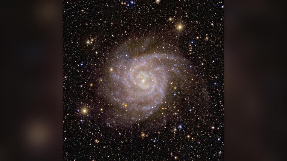 Euclid's view of spiral galaxy IC 342.