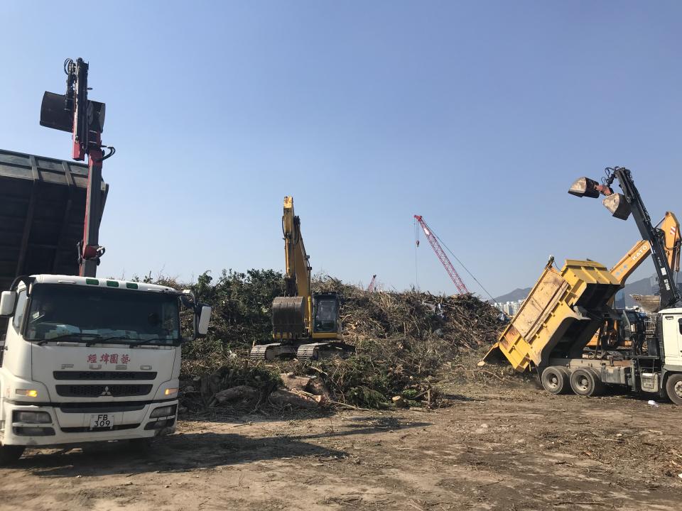 2018年超強颱風「山竹」襲港，大量樹木被吹倒。（受訪者提供相片）
