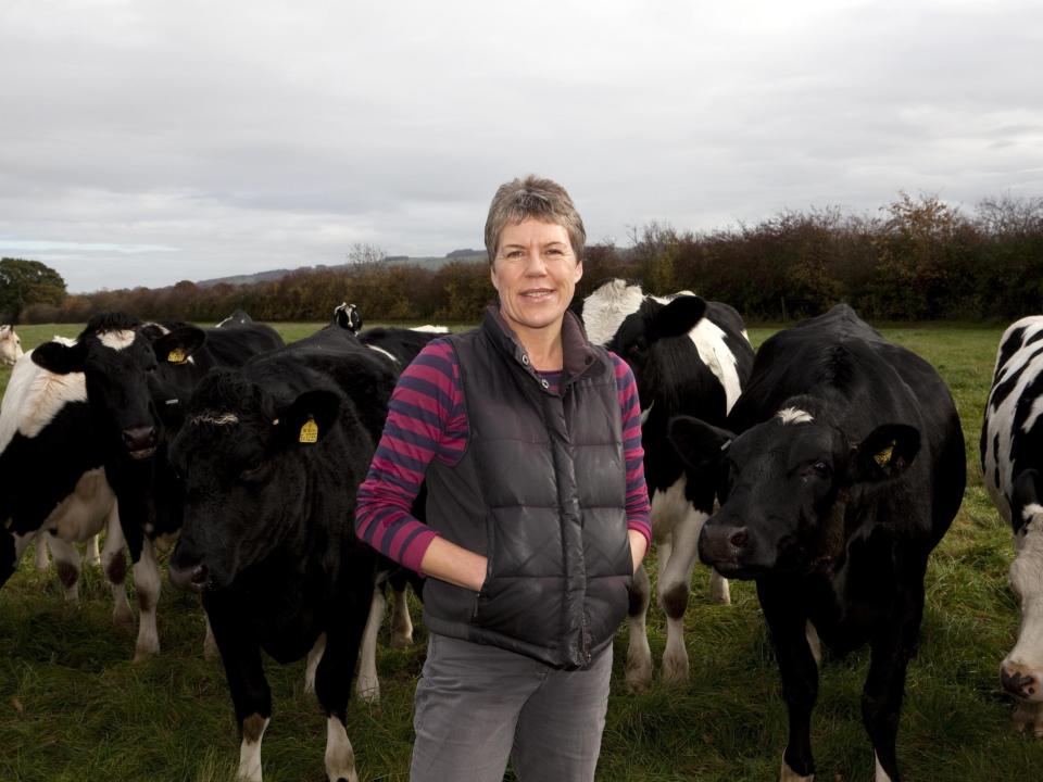 No-deal Brexit would devastate Britain’s organic industry overnight, experts warn