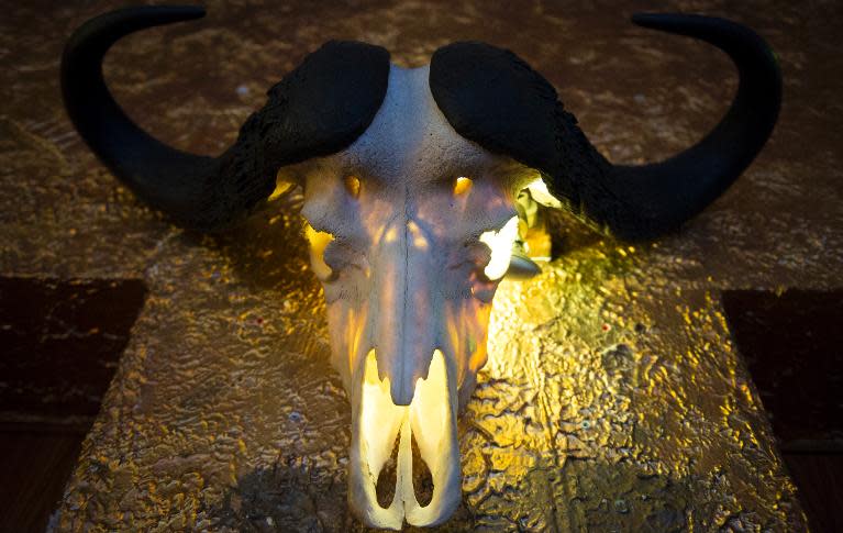 An animal skull with horns hangs on the wall of the restaurant 'Raststaette Gnadenbrot' in Berlin on March 28, 2014