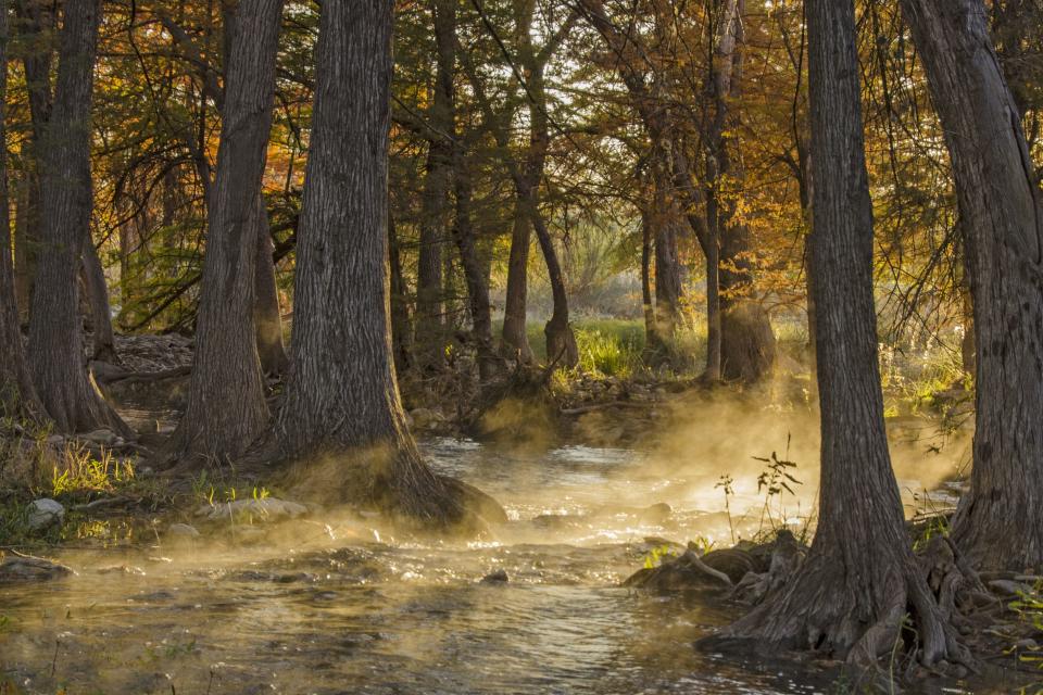 Texas: Guadalupe River