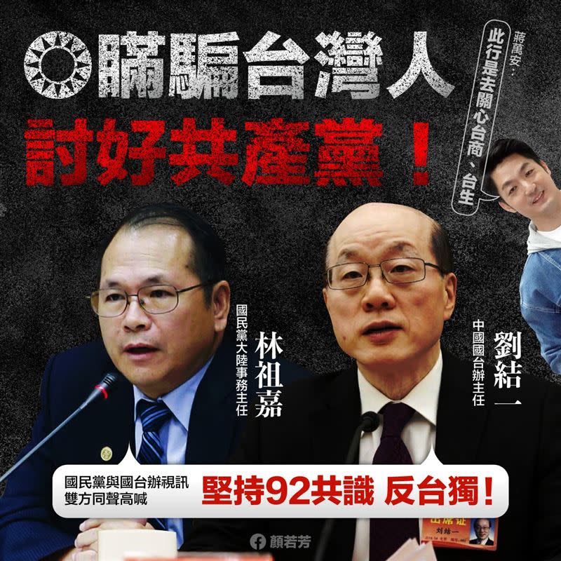 國民黨大陸事務部主任林祖嘉視訊出席兩岸關係研討會挨轟（圖／翻攝自顏若芳臉書）