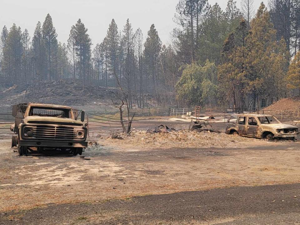 Charred trees and vehicles.