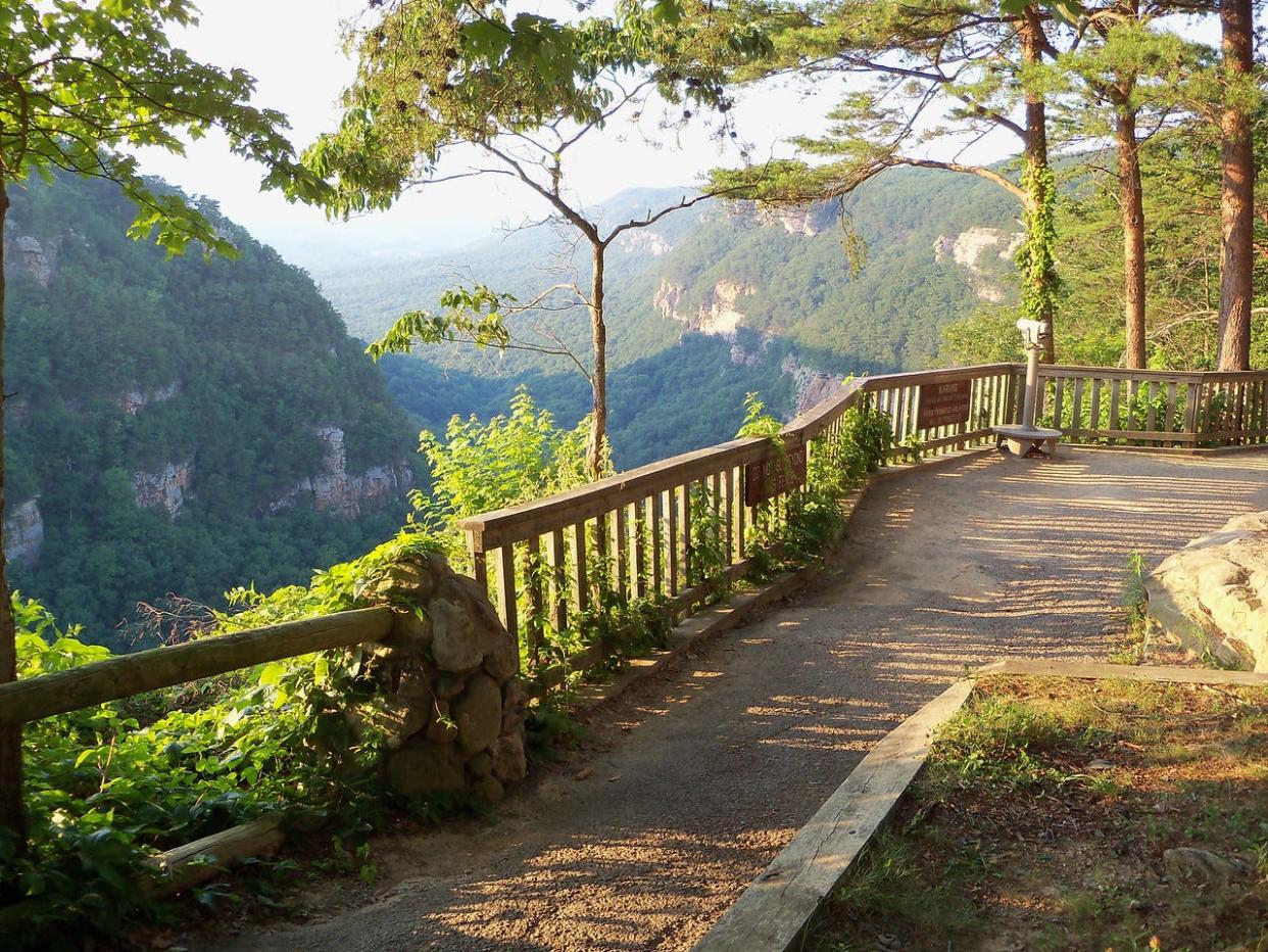 FILE - An overlook at Cloudland Canyon State Park provides a high, wide-open vantage point at the 1,000-foot-deep canyon. The park was ranked as one of the best in Georgia by Tripadvisor.