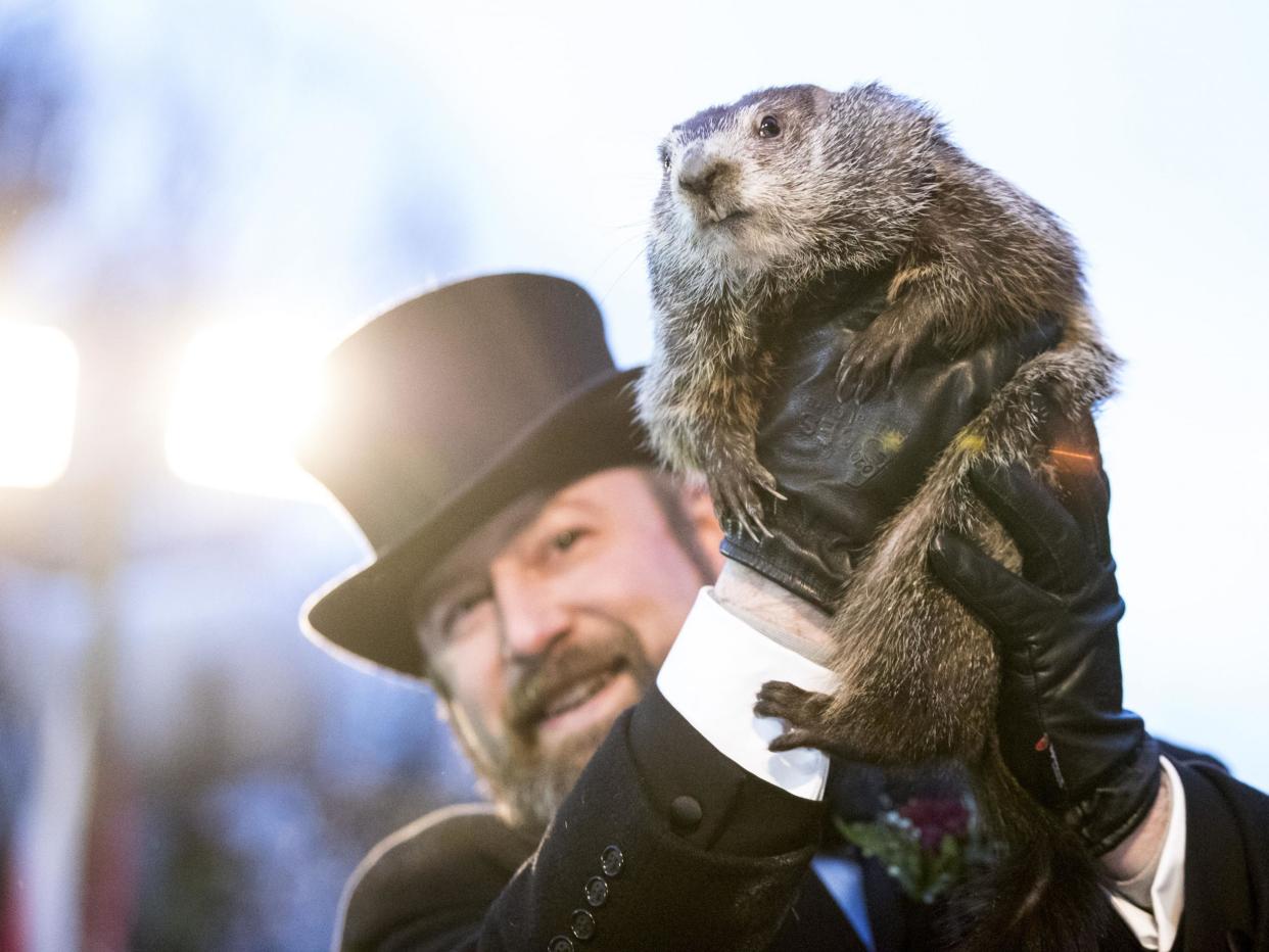 Punxsutawney Phil is held up by his handler for the crowd to see during the ceremonies for Groundhog day on February 2, 2018 in Punxsutawney, Pennsylvania: Brett Carlsen/Getty Images