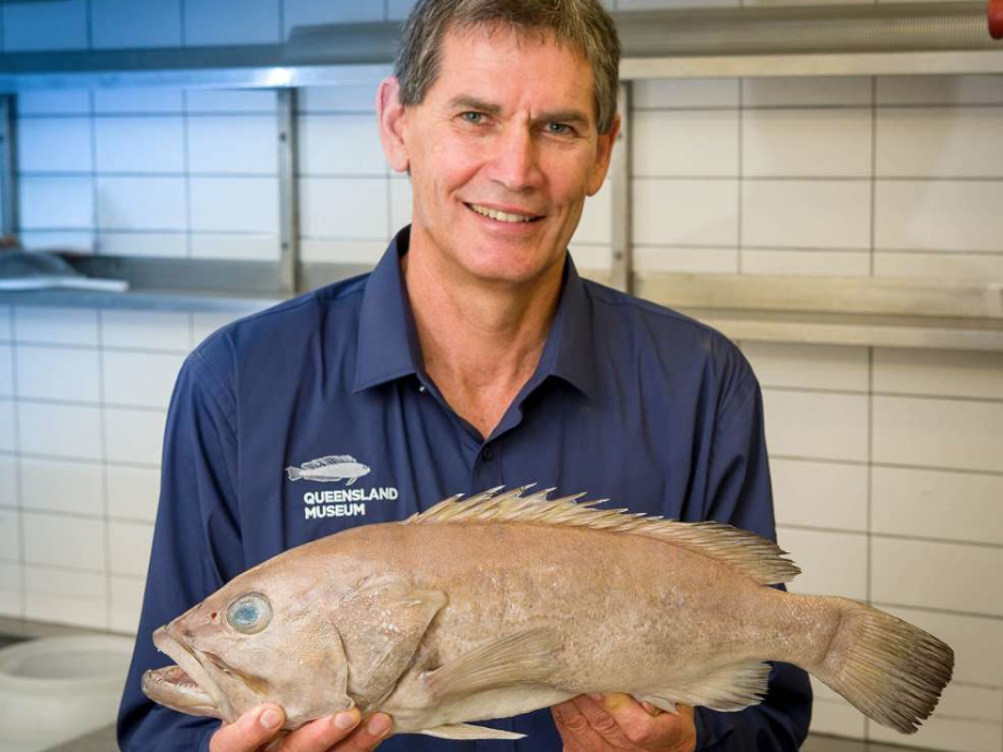 Bringing a whole new meaning to cooked rare. Queensland Museum's Jeff Johnson with the new species of fish: Queensland Museum