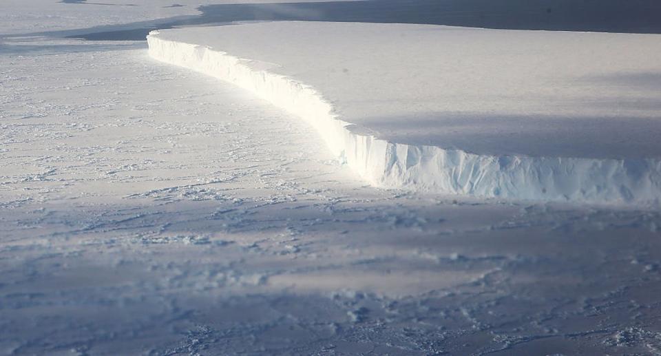 Enormous tabular icebergs like this one are often formed by calving from ice shelves. This iceberg near the coast of West Antarctica is seen from a window of a NASA Operation IceBridge airplane in 2016. Getty