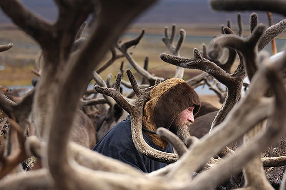 In Yamal, Russia, some 14,000 people live together with their deer herds. They live a Nomadic life and are very hardworking and hospitable. <br><br>Camera: Canon EOS DS MkIII. <br><br>Sergey Anisimov, Russia <br><br>Winner, Cultures & Traditions portfolio