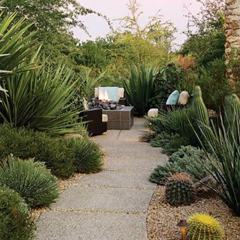 Desert garden path