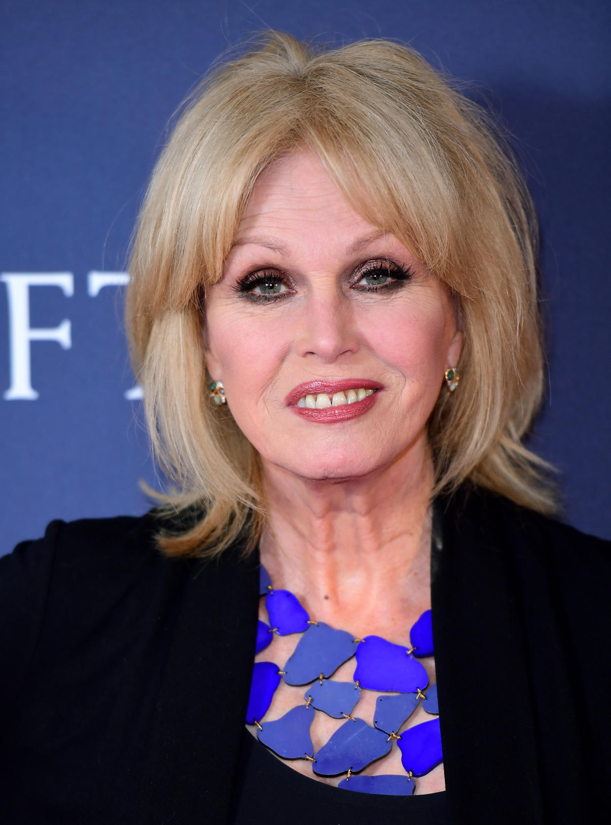 Actress and campaigner Joanna Lumley raised the issue at a meeting with Environment Secretary George Eustice (Ian West/PA)