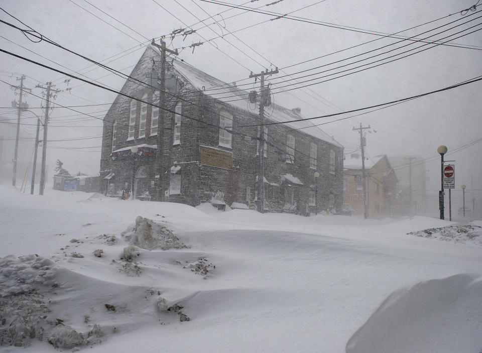 Newfoundland Snow