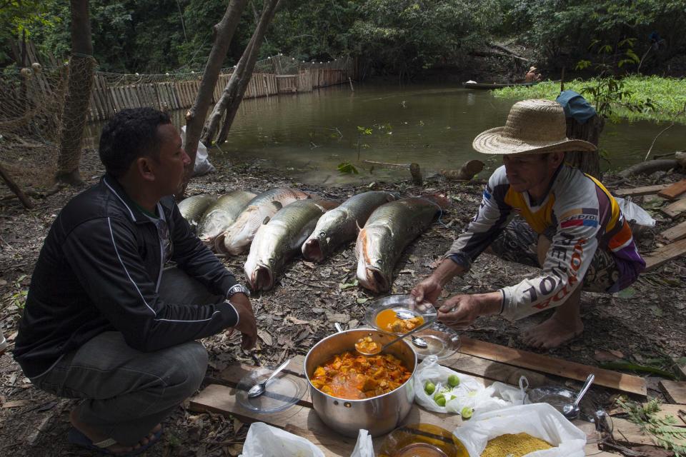 Villagers Diomesio Antunes and Edson de Souza from the Rumao Island community eat a meal of arapaima or pirarucu, the largest freshwater fish species in South America