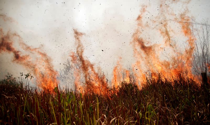 Foto de archivo. Una extensión de la selva amazónica arde mientras es despejada por madereros y agricultores en Porto Velho