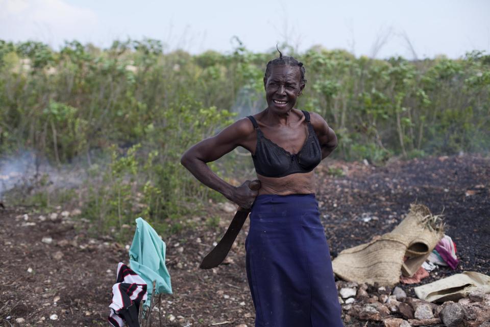 In this Monday, March 24, 2014 photo, farmer Sylgramiz Delivra, 60, takes a break from gathering cassava stem cuttings that she will use to plant on her land, in Bombardopolis, northwestern Haiti. Drought is hitting this region, alarming international aid organizations such as the U.N. World Food Program. The agency said it has given food to 164,000 people in the region so far, as well as 6,000 seed kits for farmers. (AP Photo/Dieu Nalio Chery)