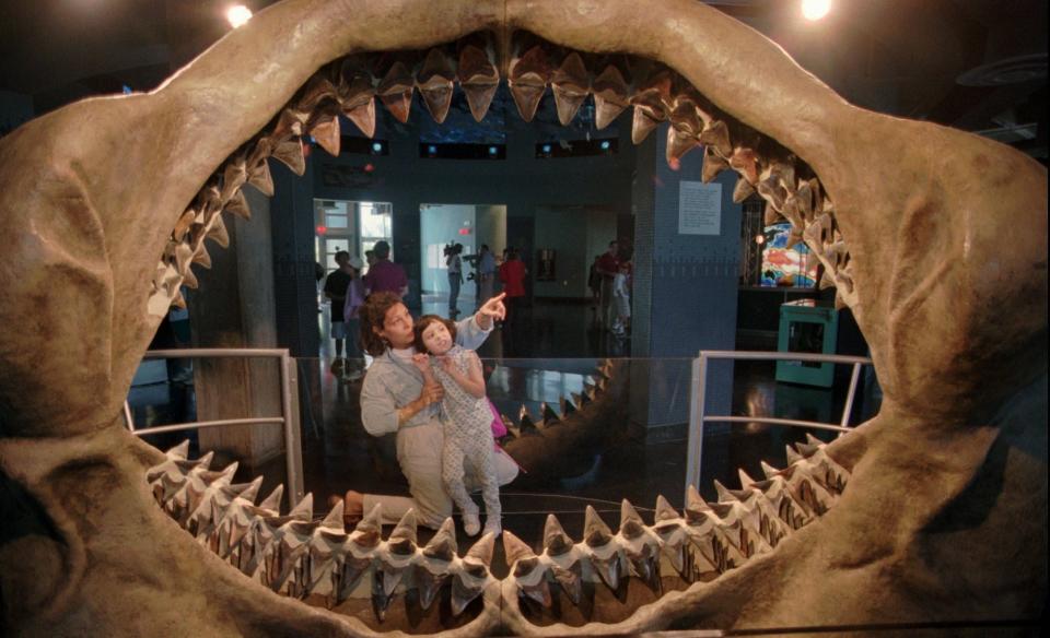 The Thomas H. Kean New Jersey Aquarium in Camden, N.J, features 275 real fossilized teeth from a Carcharodon megalodon, a 50-ton shark that lived 5 to 15 millon years ago.