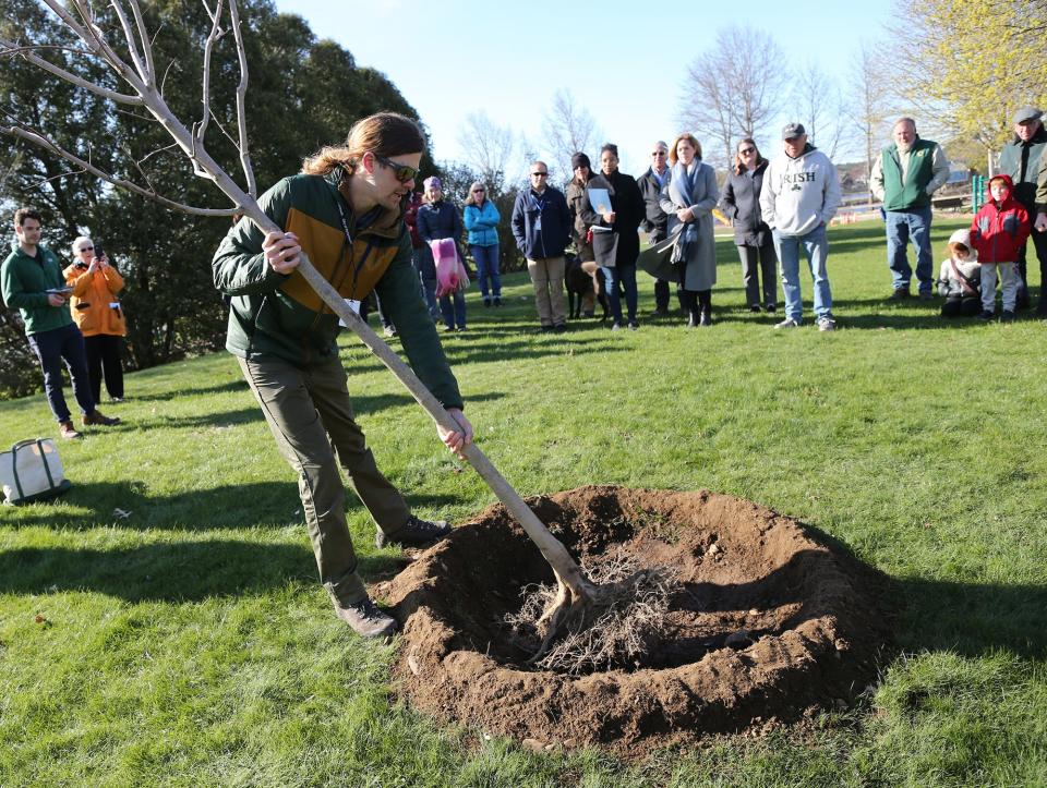 City of Portsmouth Arborist Chuck Baxter talks about the importance of Arbor Day and the nature of the sugar maple tree which was planted on Four Tree Island April 29, 2022. Members of the crowd all put a shovel of dirt over the ball before watering it.