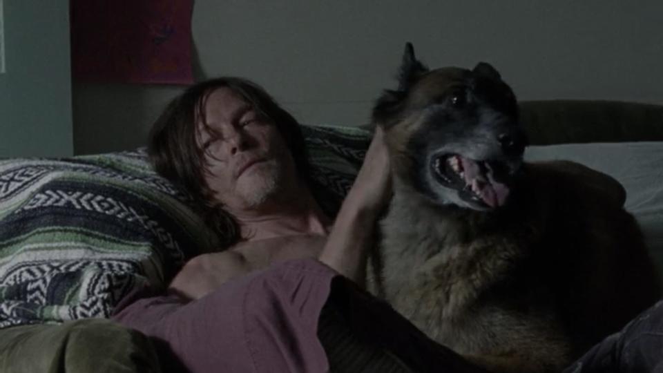 daryl and dog twd 1007