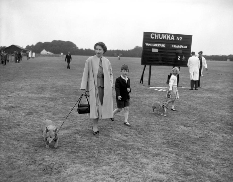 1956: The Queen strolls through Windsor Great Park with Prince Charles, Princess Anne, and two of her corgies. The were there to watch the Duke of Edinburgh play polo (PA)