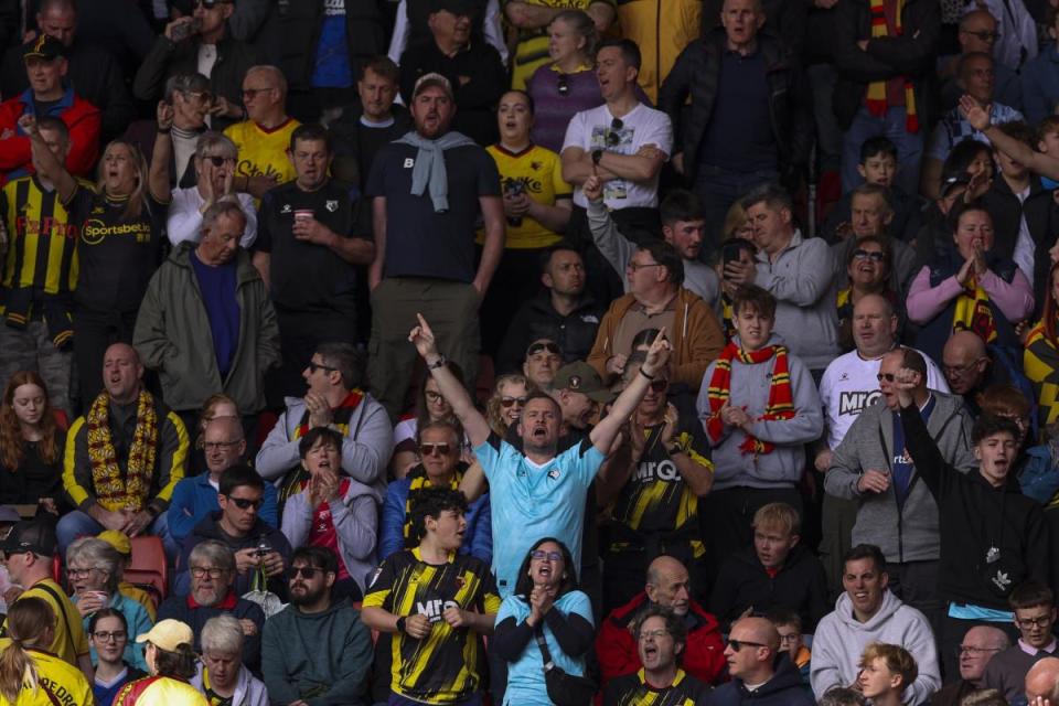 Hornets fans watching their team in action at Southampton <i>(Image: PA)</i>