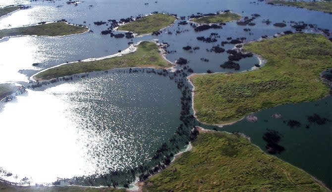 Pantanal wetlands