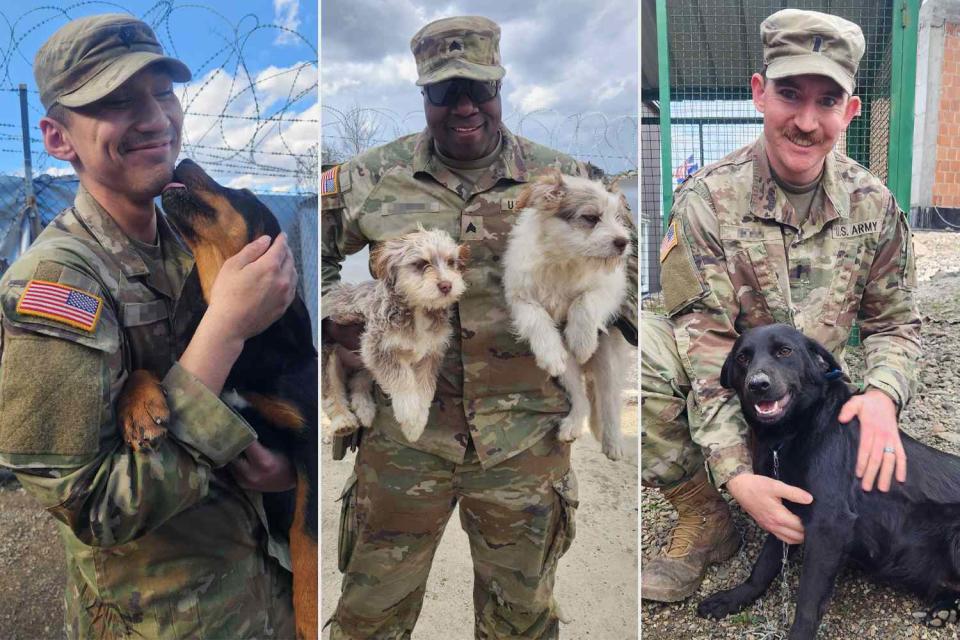 <p>Courtesy of Paws of War</p> Various solders with the dogs they adopted while overseas