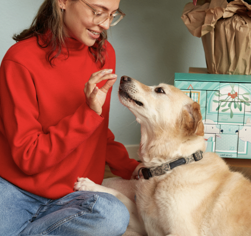 Teile  jeden Tag einen besonderen Moment mit deinem Hund und verschönere ihm die Adventszeit mit kleinen Freuden (Bild: Veveto).