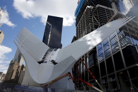 The Oculus structure of the World Trade Center Transportation Hub is pictured in New York, in this file photo taken February 26, 2016. REUTERS/Shannon Stapleton/Files