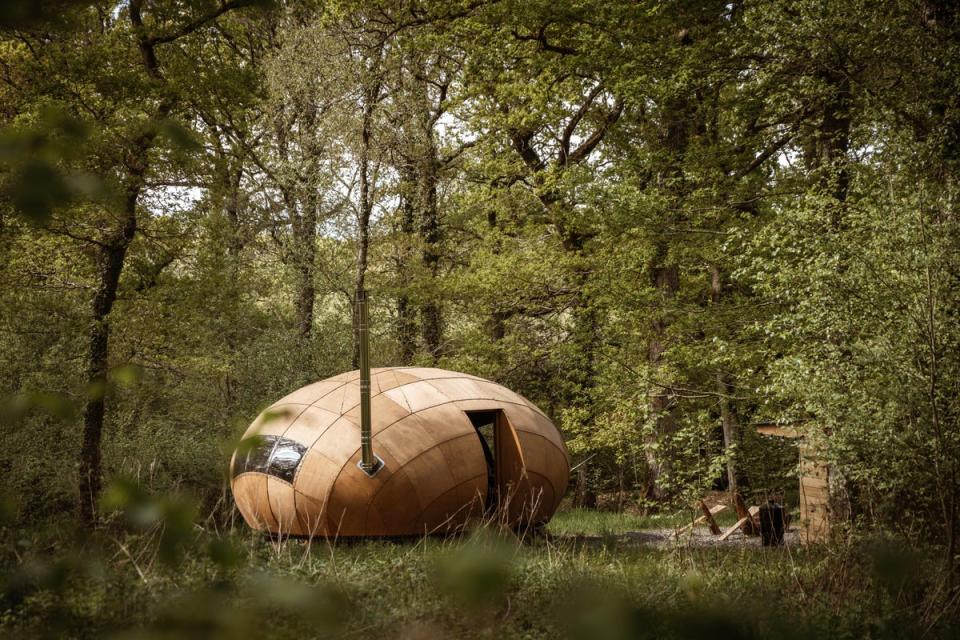 Sleep in a giant truffle at Honeydown (Honeydown)