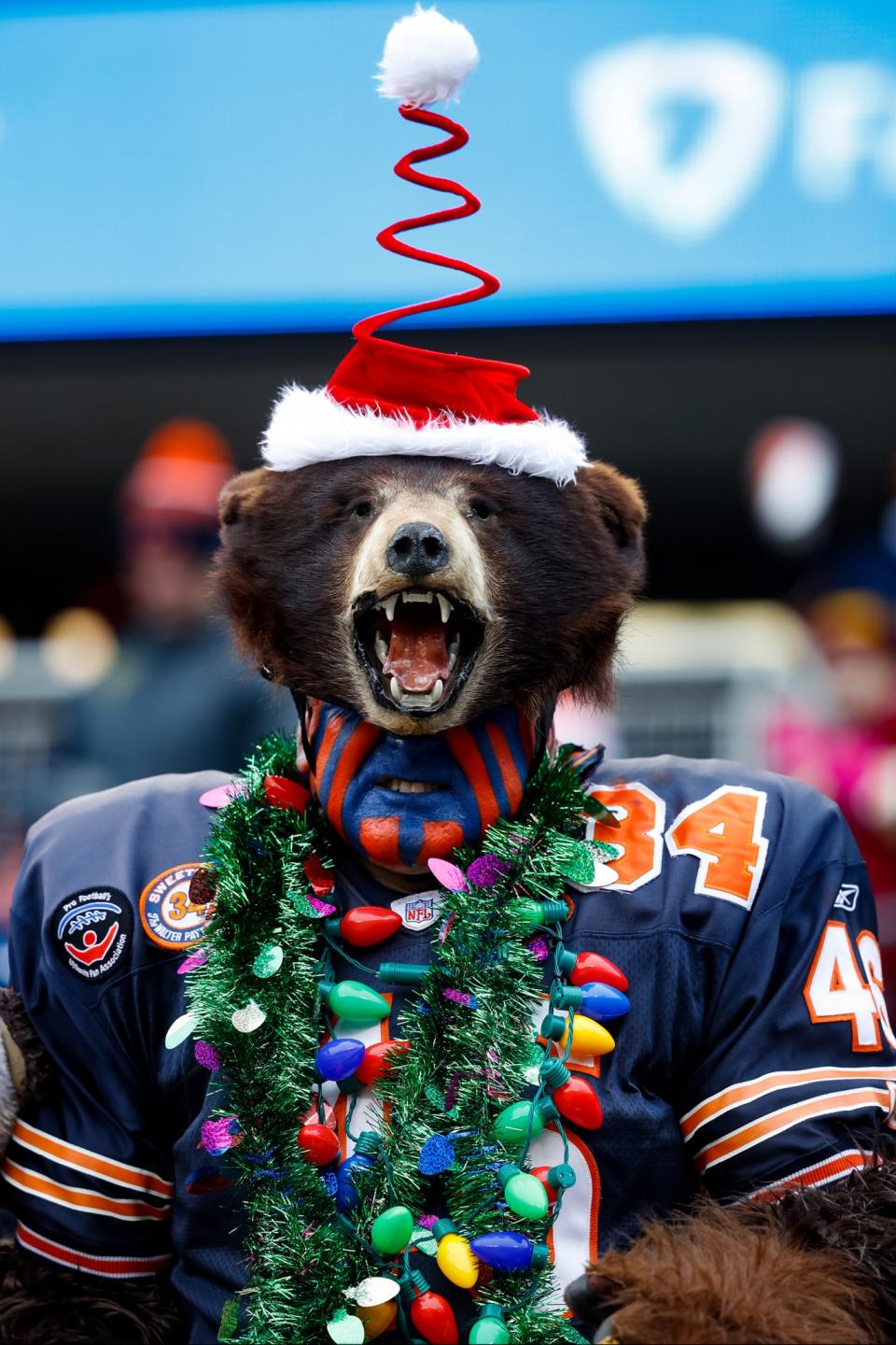 A Chicago Bears fan cheers during a game in Chicago, Ill.