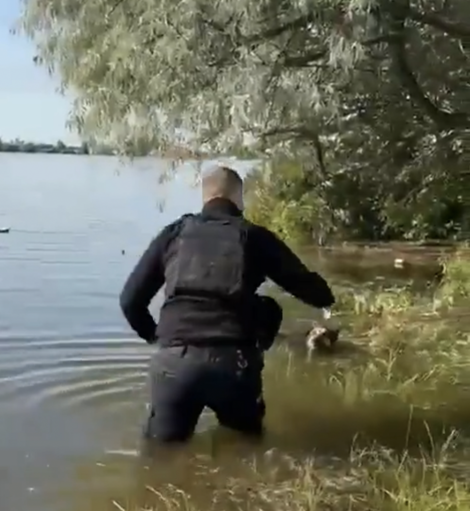 A video showing a dog being rescued from flood water in Kherson, Ukraine. (Reuters)