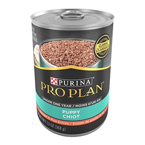 Purina Pro Plan High Protein Puppy Food Pate, Chicken and Brown Rice Entree - (12) 13 oz. Cans (Amazon / Amazon)