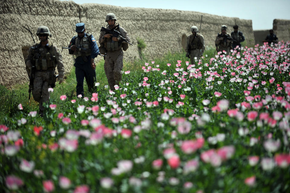 U.S. troops walk through opium poppy fields during a joint patrol with Afghanistan National Police in Habibullah village, Helmand province, Afghanistan, on April 24, 2011. / Credit: BAY ISMOYO/AFP via Getty Images
