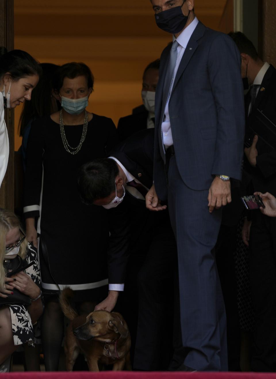 Slovakia's Prime Minister Eduard Heger pats Peanut the dog of his Greek counterpart Kyriakos Mitsotakis as they leave Maximos Mansion in Athens, Thursday, Sept. 30, 2021 (AP Photo/Thanassis Stavrakis)