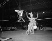 <p>Monkey acts are a favorite with many circus goers so Beatrice Dante puts her chimpanzee through a tight wire number in preparation for the New York opening, April 6, 1949. (AP Photo/Ed Ford) </p>