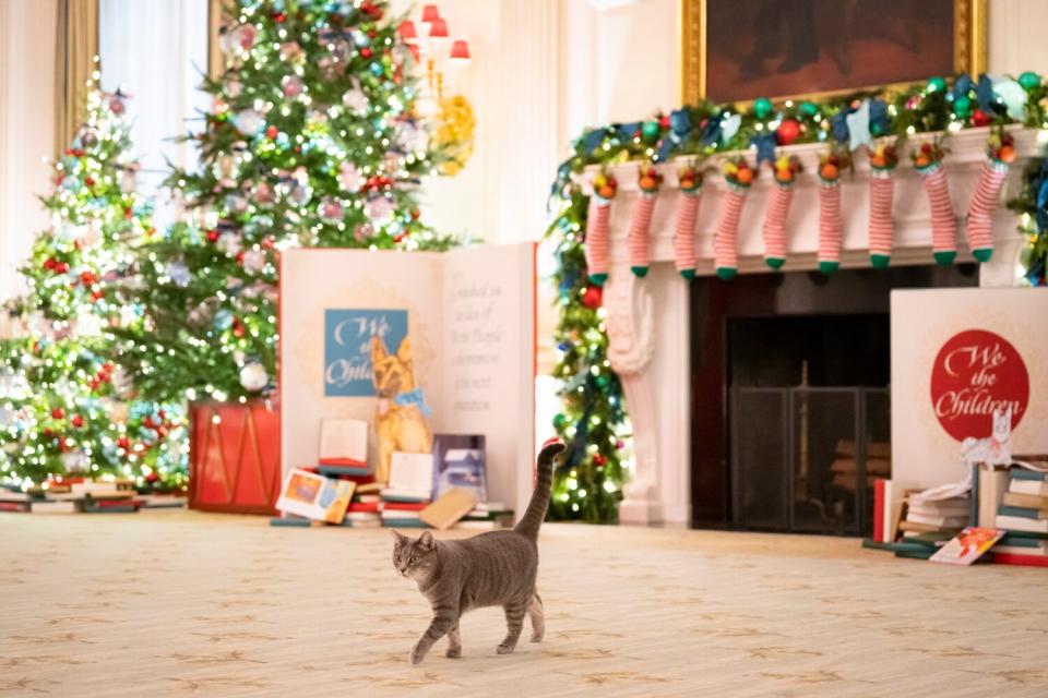 Willow first white house christmas/