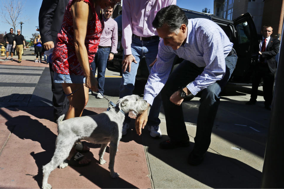 Republican presidential candidate, former Massachusetts Gov. Mitt Romney bends down to greet a dog after he made an unscheduled stop at a Chipotle restaurant in Denver, Tuesday, Oct. 2, 2012. (AP Photo/Charles Dharapak)