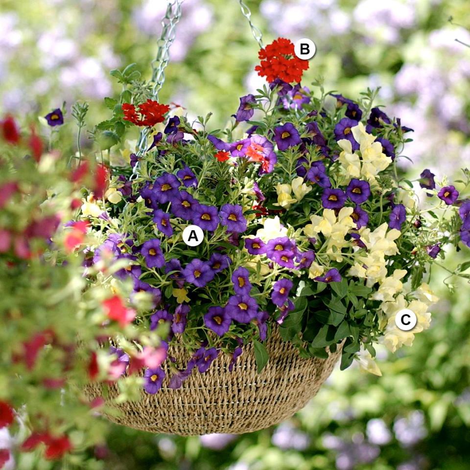 Use these easy plant-by-numbers recipes to put together the most beautiful hanging baskets in your neighborhood.