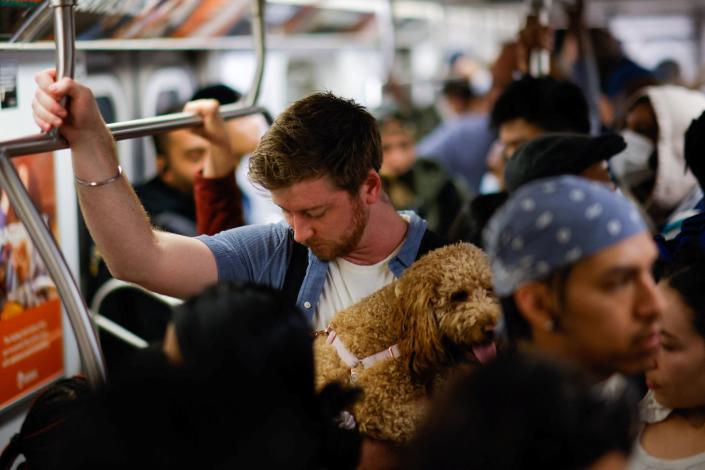 People ride a New York City subway train without face coverings.