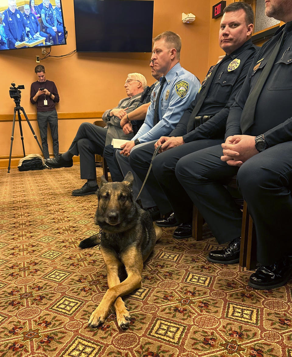 In this photo provided by the Kansas House of Representatives, Oz, a Wichita, Kan., police dog, sits on a leash from his handler, Sedgwick County Sheriff's Deputy Tyler Brooks, during a Senate committee hearing on a bill to increase the state's penalties for killing a police dog or horse, at the Statehouse in Topeka, Kan., Thursday, Feb. 1, 2024. Brooks' former K-9 partner, Bane, was strangled to death by a domestic violence suspect, and Brooks had a hand in drafting the bill. (Carrie Rahfaldt/Kansas House of Representatives via AP)