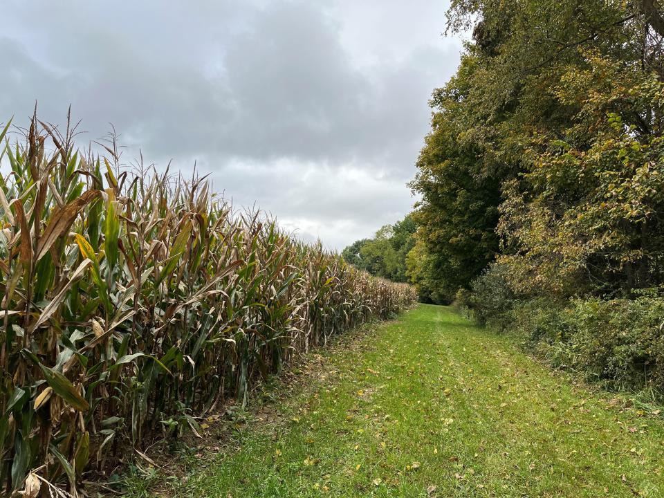 Ohio Rural Land LLC, a farm in Franklin Township, is one of two Richland County farms where the Western Reserve Land Conservancy recently established permanent protections.