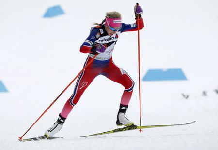 Therese Johaug of Norway competes during the women's FIS Tour de ski cross-country skiing 5km individual free race in Toblach January 8, 2016. REUTERS/Alessandro Garofalo Picture Supplied by Action Images