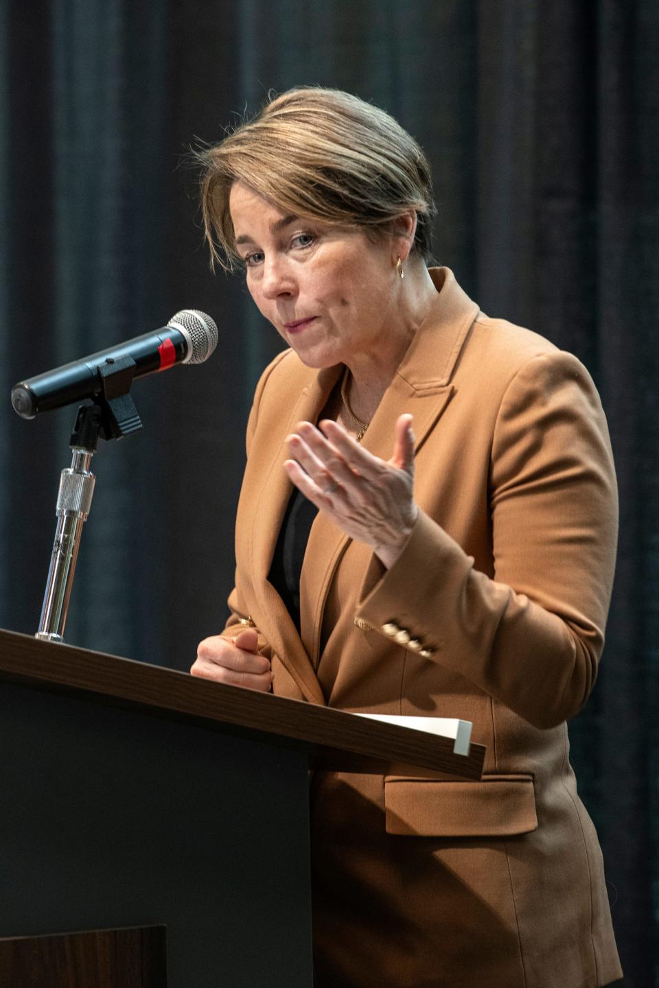 Gov. Maura Healey's fiscal 2025 budget includes spending increases aimed at ensuring services like Advocates' day and employment program are fully staffed and available to disabled residents.