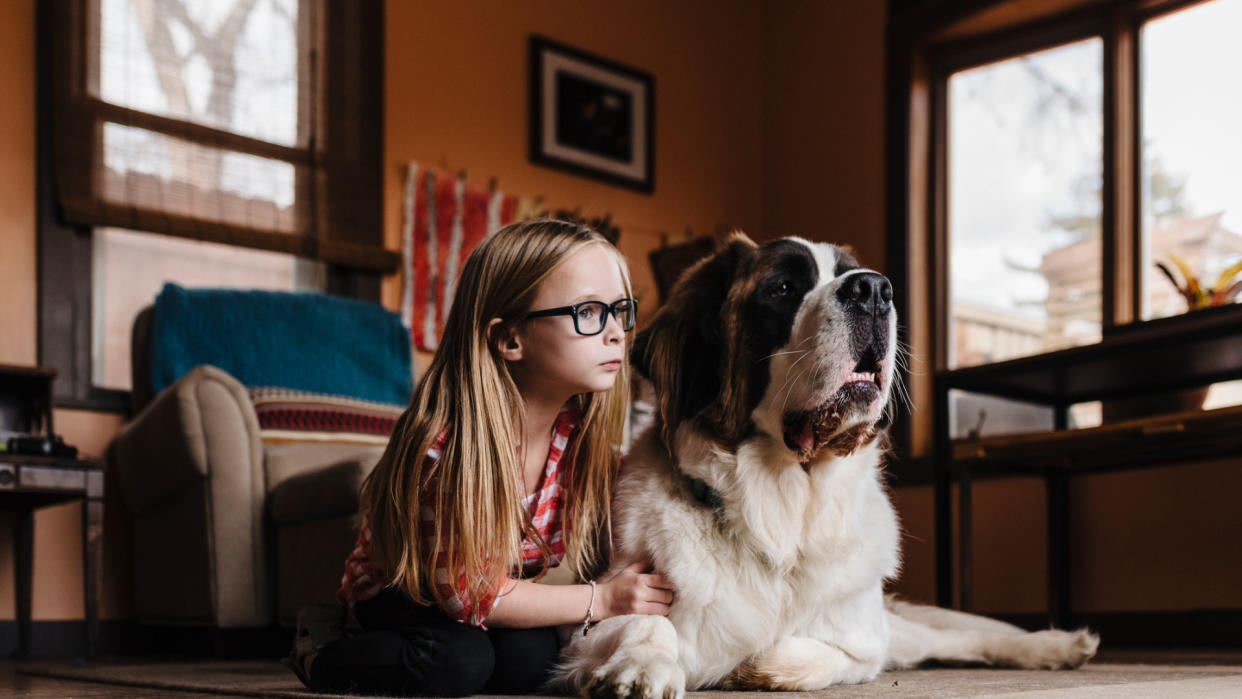 a girl lays on the living room floor next to a Saint Bernard