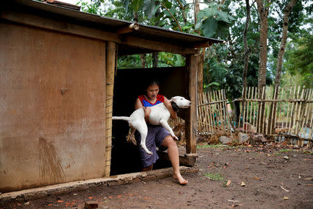 Dog breeder Agus Badud's daughter carries a dog to wash him at their house in Cibiuk village of Majalaya, West Java province, Indonesia, September 27, 2017. REUTERS/Beawiharta