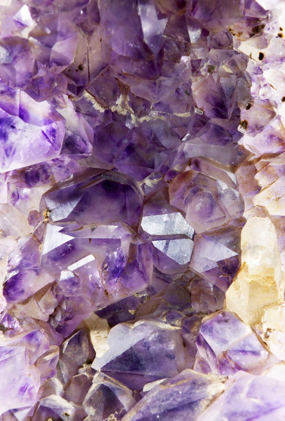 Their birthstone is the amethyst.