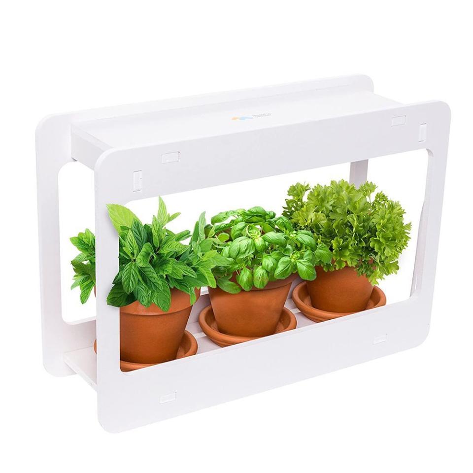 5) Mindful Design LED Indoor Herb Garden