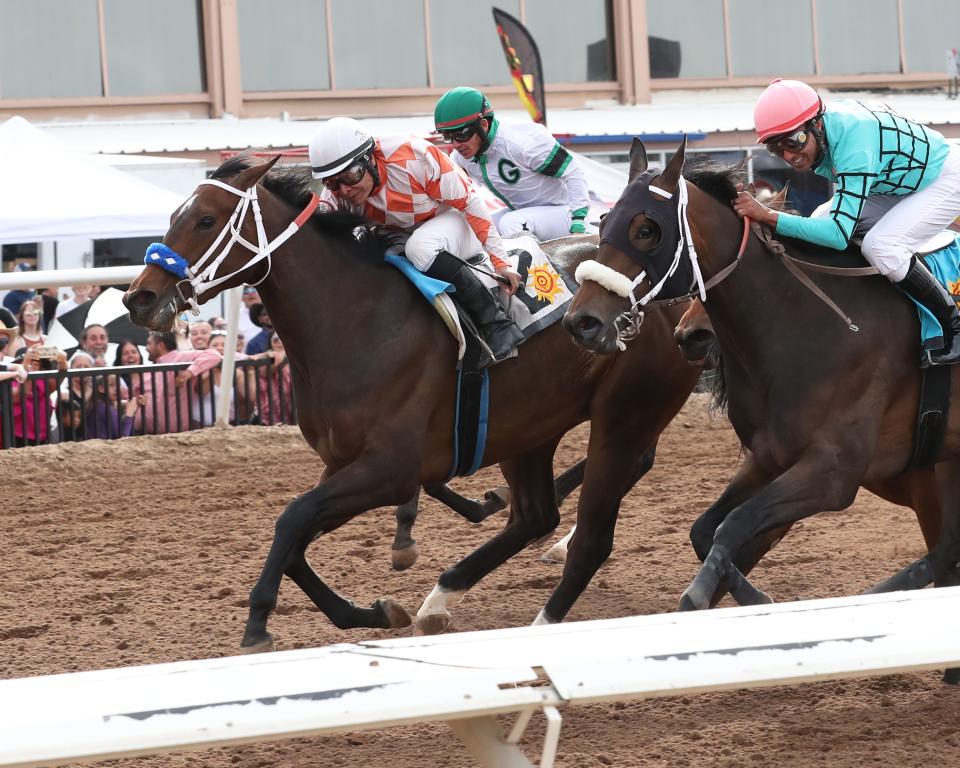 Cleopatras Charge, shown here winning the $300,000 Sunland Park Oaks on March 27, 2022 under jockey Jorge Carreno.