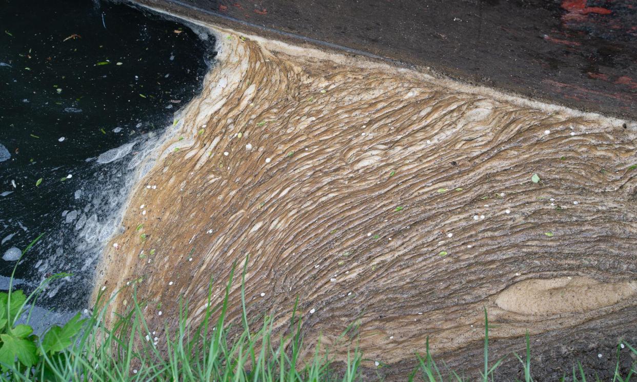 <span>Pollution and plant debris on the Grand Union Canal at Harefield following sewage discharges by Thames Water. </span><span>Photograph: Maureen McLean/REX/Shutterstock</span>