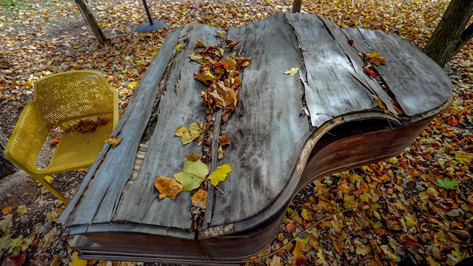 "I think there's something poetic about it," says Brown student Devanney Haruta of her "Piano (de)composition" project, seen here in early November amid a blanket of autumn leaves.